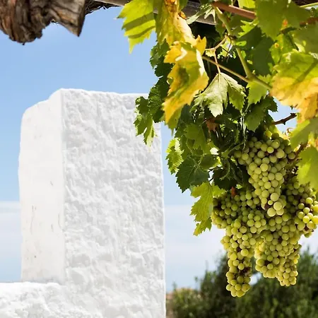 Vatha Traditional With A View Σπίτι διακοπών Μενετές