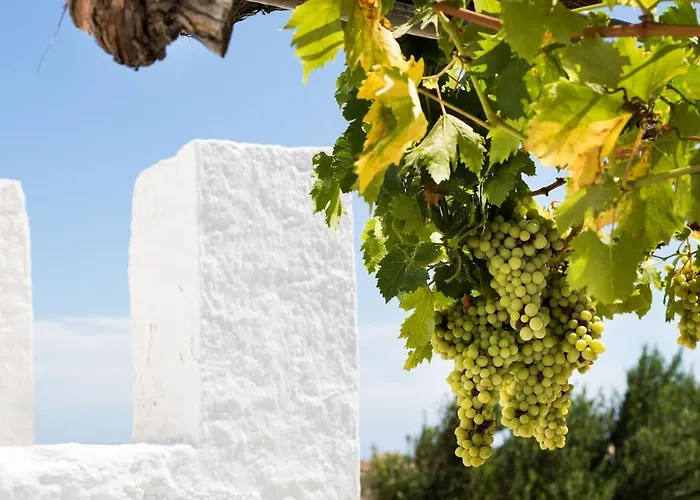 Vatha Traditional With A View 別荘 Menetaí